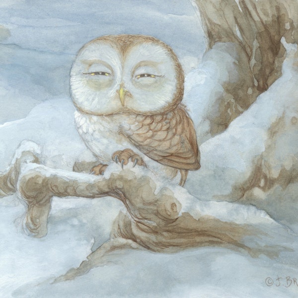 Sleepy Owl 8.5x11 Signed Print