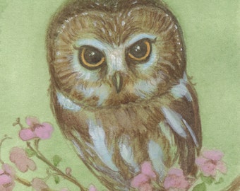 May include: A watercolor painting of a saw-whet owl perched on a branch with pink blossoms. The owl has large, round eyes and a brown and white patterned body. The background is a light green.