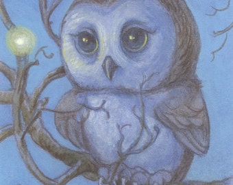 Little Light Owl 5x7 Signed Print