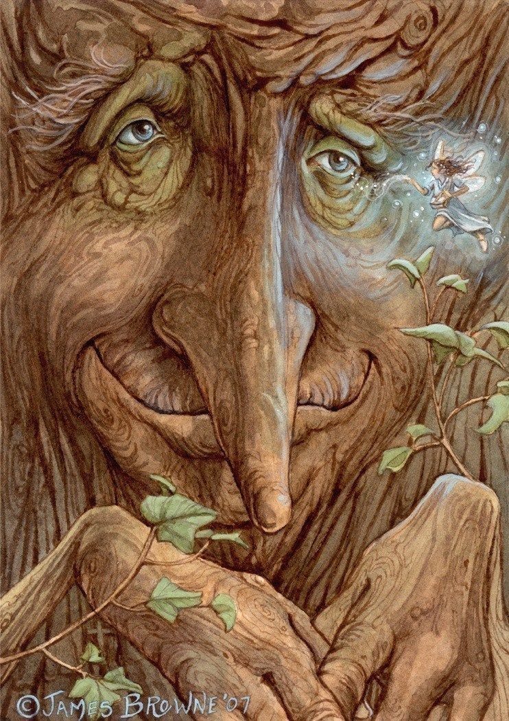 Old Wisebark 8.5x11 Signed Print