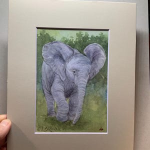 May include: Watercolor painting of a baby elephant with large ears, walking towards the viewer. The elephant is gray, set against a green and yellow background. The artwork is framed in a beige mat, with the artist's signature and date visible.