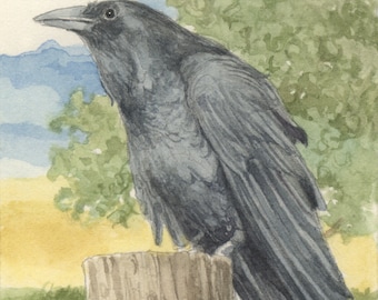 Raven 5x7 Signed Print