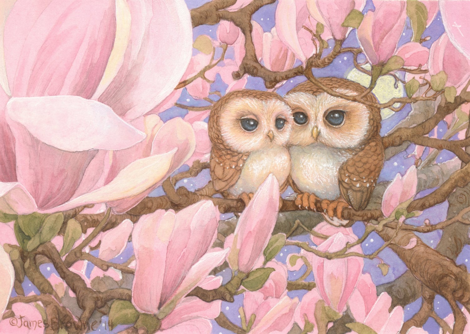 Love Owls 8.5x11 Signed Print