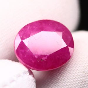 8,25 Ct natürlicher Burma Rubin | Seltener Sammler Edelstein | Lockerer ovaler roter Rubin | Zertifiziert | Juli Geburtsstein