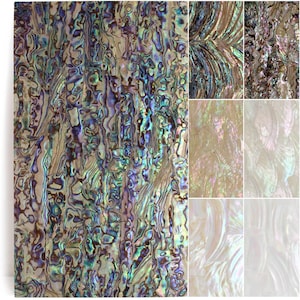 May include: Abalone shell with iridescent colors of blue, green, purple, and gold. The surface has a textured, swirling pattern. Additional images show variations in color and pattern.