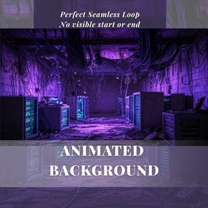 Op de afbeelding: Een geanimeerde achtergrondafbeelding van een serverruimte in paarse tinten. De afbeelding toont rijen servers, kabels en de tekst "Perfect Seamless Loop" en "Animated Background".