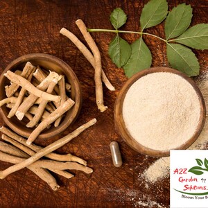 Puede incluir: Trozos de ra&iacute;z de Ashwagandha y polvo en cuencos de madera, con una hoja verde y una c&aacute;psula sobre una superficie de madera marr&oacute;n. La imagen tambi&eacute;n incluye el logotipo de A2Z Garden Solutions.