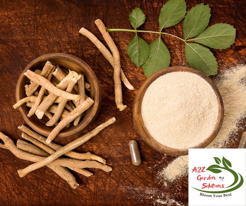 Puede incluir: Trozos de ra&iacute;z de Ashwagandha y polvo en cuencos de madera, con una hoja verde y una c&aacute;psula sobre una superficie de madera marr&oacute;n. La imagen tambi&eacute;n incluye el logotipo de A2Z Garden Solutions.