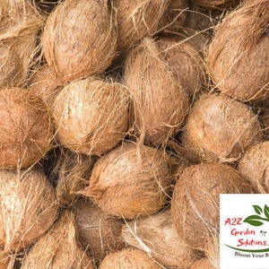 Dry Coconut Farm-Fresh | 100% Naturally Grown | Grown in Florida | Healthy Living