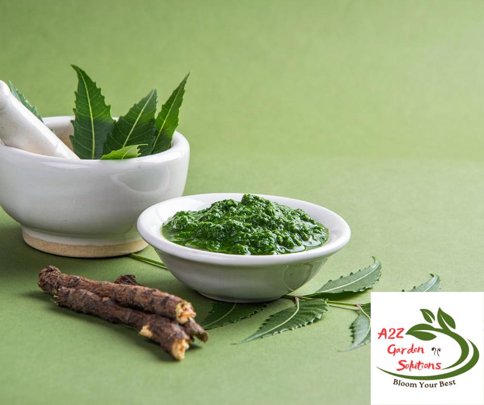 Neem Farm-fresh Leaves | Healthy Living - Etsy