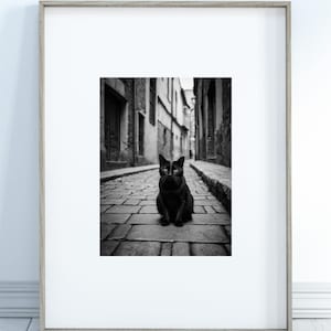 Black Cat Print – Minimalist Cat Wall Decor, Art Prints Black Cat, Black and White-Arte, Instant Digital Download, Printable, 30 JPG Sizes