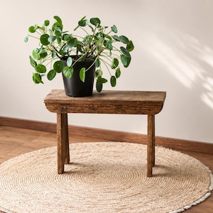 Puede incluir: Una planta de Pilea peperomioides en una maceta negra se encuentra sobre un pequeño banco de madera rústica. El banco está colocado sobre una alfombra redonda de yute tejido. El fondo es una pared neutra con luz natural.
