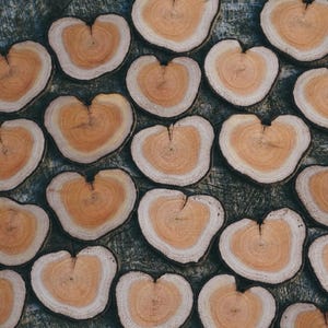 6 heart-shaped wooden discs made of alder buckthorn with bark – unique natural wood | Rustic wedding decoration, DIY craft material, table decoration