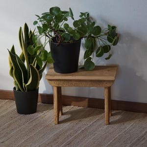 Otto Bench - Rustieke decoratieve bank van gerecycled hout - Vintage voetenbankje / bloemenbank gemaakt van oude planken - Handgemaakte bank in landelijke stijl