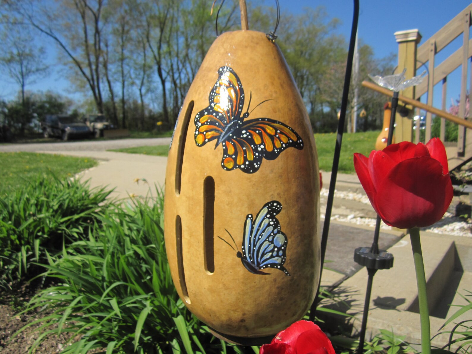 Gourd Butterfly House Etsy