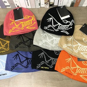 Vintage Arc'teryx Knit Beanie Hat With Dinosaur Arcteryx