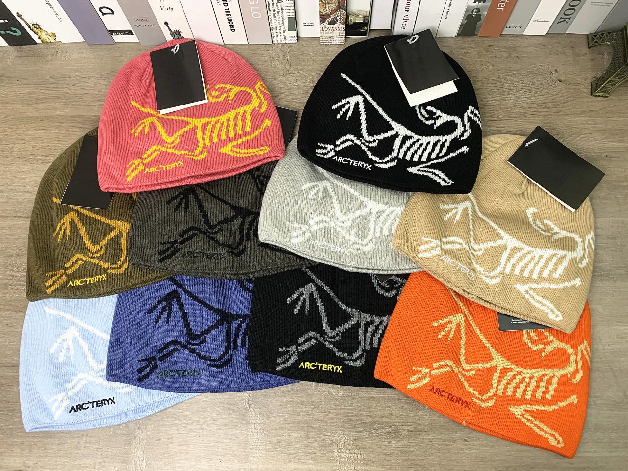 Vintage Arc'teryx Knit Beanie Hat With Dinosaur Arcteryx