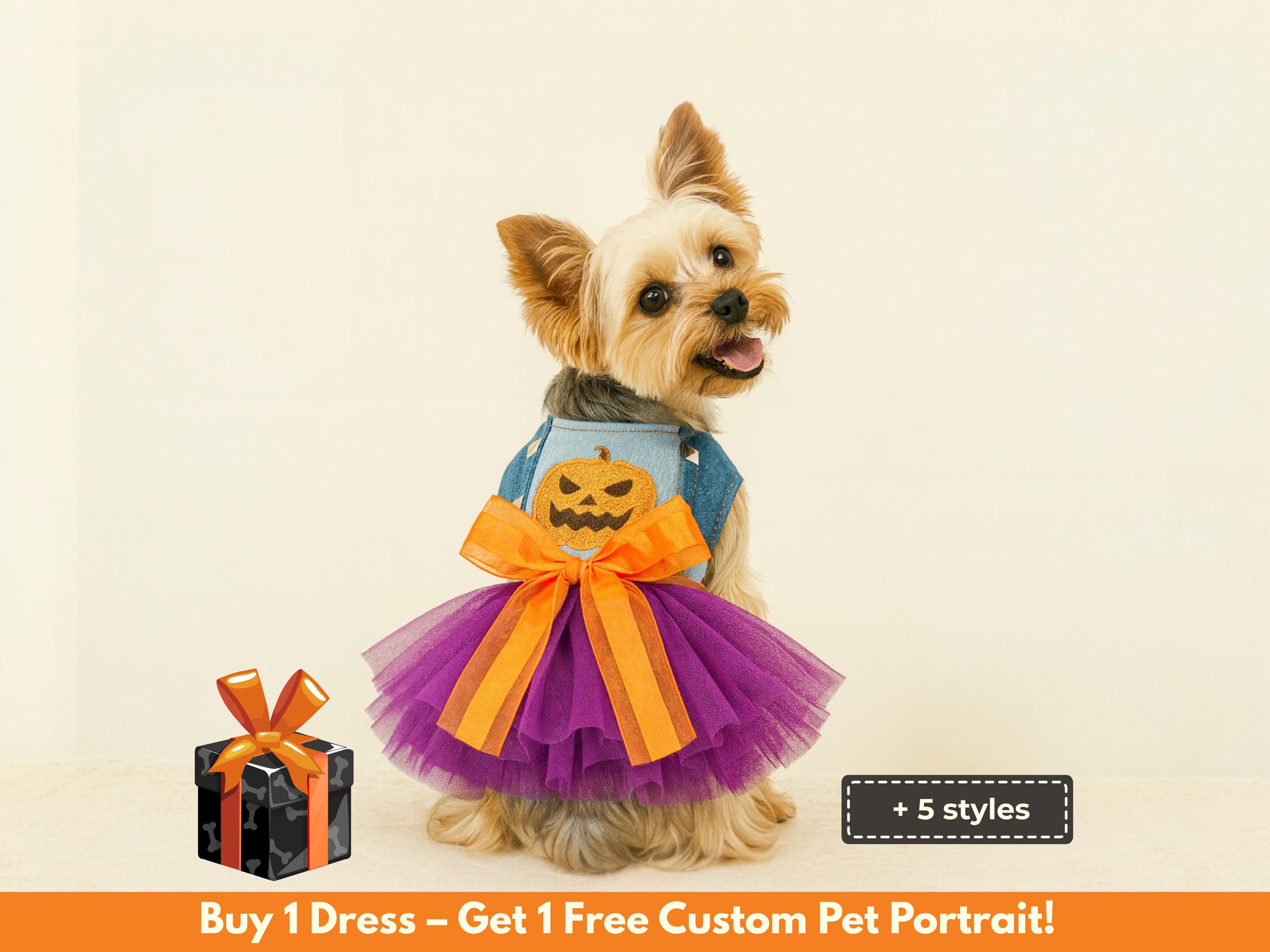 Cani Simpatico Cane Vestito Da Zucca Vestito Da Cane Costume Di