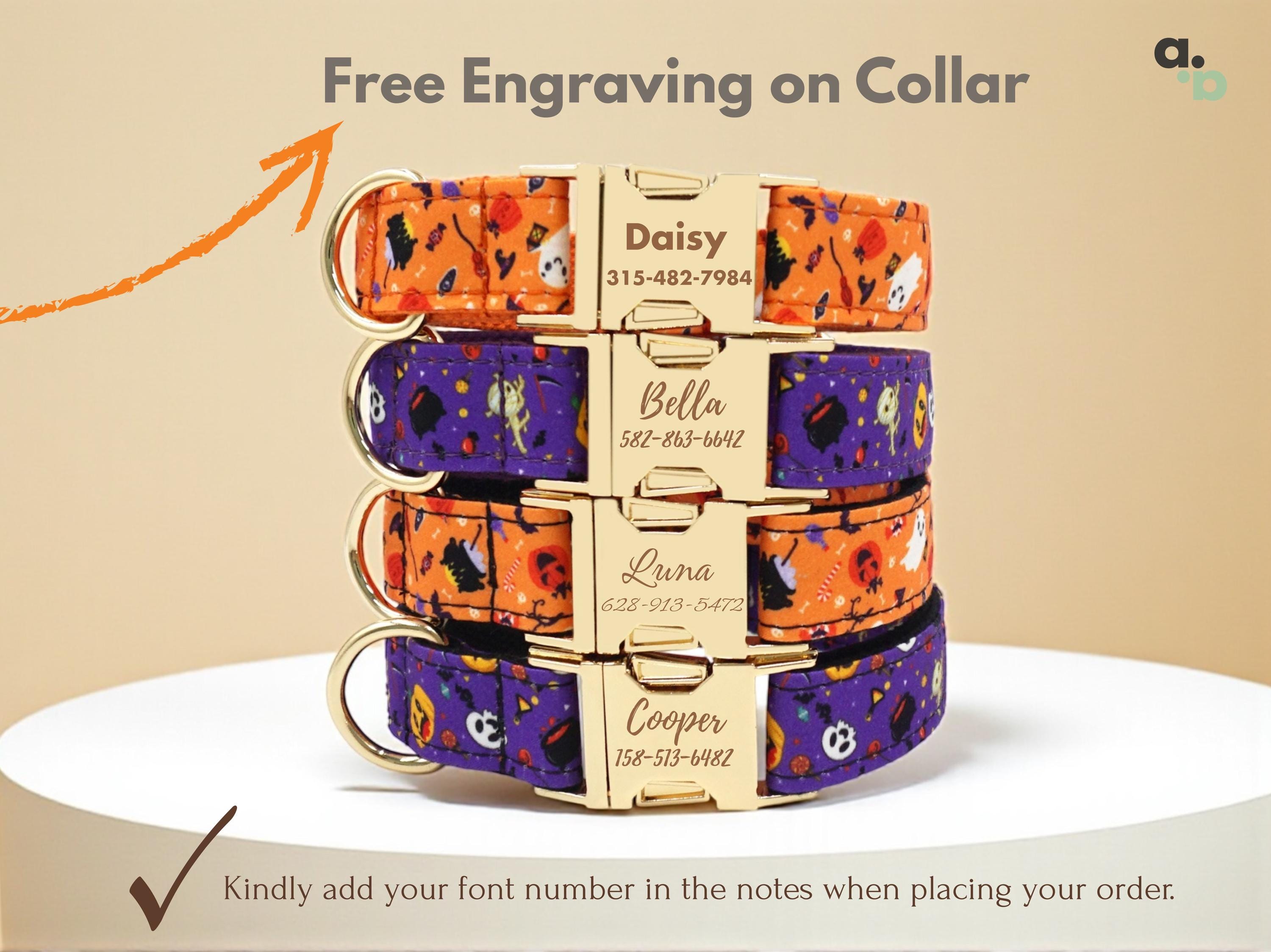 Halloween Dog Collar: Personalized Engraved Name, Autumn Dog