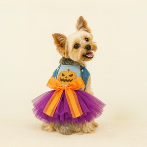 May include: A small dog wearing a blue denim vest featuring an orange pumpkin applique on the back. The vest is accented with a large, bright orange ribbon bow and a layered, ruffled purple tulle skirt that extends from the waistline.