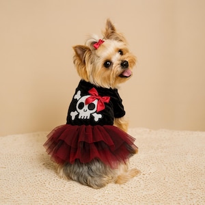 May include: A black velvet pet dress featuring a white skull and crossbones graphic on the back, accented with a red satin bow. The skirt consists of layered dark red tulle. A matching red bow is attached to the top of the pet's head.