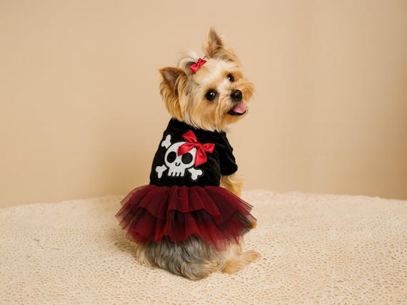 Dog Halloween Costume, Funny Dog Costumes, Halloween Clothes, Goth Dog, Dog Halloween Clothes, Halloween Costume Dogs, Dog Halloween Dress