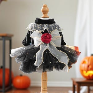 May include: A black velvet pet dress featuring a layered tulle skirt with gold star accents, a high collar, and a large sheer white bow at the waist centered with a deep red fabric rose. The garment is displayed on a wooden mannequin stand.