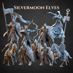 Elf Miniatures (9 Models) – Silvermoor Elves Warband – DnD RPG