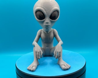 Desk Friend Alien Pal – Stravagante compagno spaziale per la tua scrivania