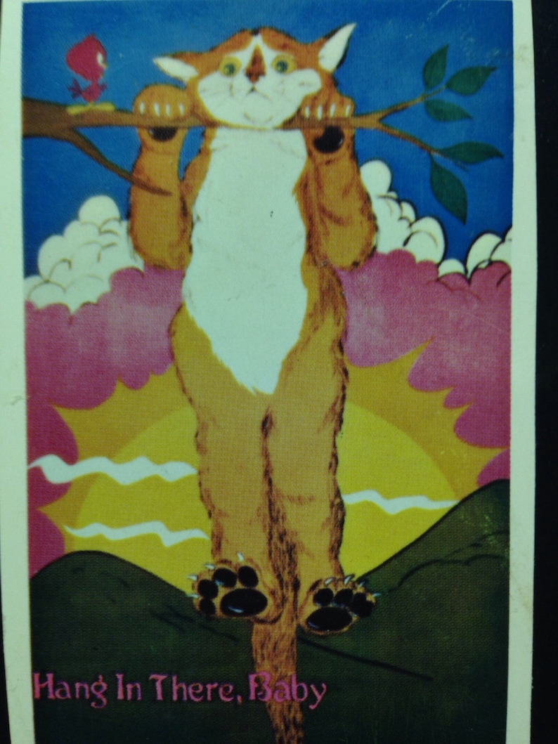 Op de afbeelding: Een vintage print met een cartoonkat die aan een tak hangt, met een kleine rode vogel. De kat heeft oranje en witte vacht, en de achtergrond bevat een zonsondergang en de tekst "Hang In There, Baby."