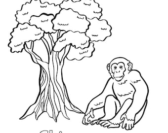Jungle Animal Coloring Book for Kids Volume 2 Printable PDF Learn to Spell and Color Jungle Creatures Preschool Homeschool Activity