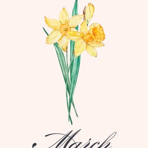 March Birth Flower Printable | Daffodil Wall Art | March Birthday Gift | Birth Month Flower Art | Digital Floral Download
