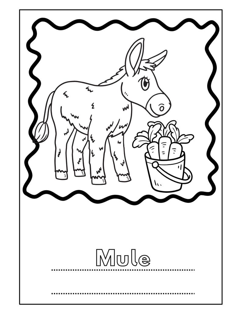 Farm Animal Coloring Book Bundle for Kids Printable Learn to Spell and ...