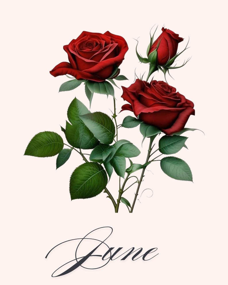 June Birth Flower Printable | Rose Wall Art | Floral Birth Month Print ...