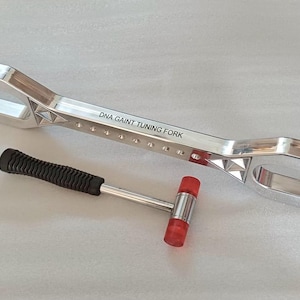 May include: A silver DNA Gaint tuning fork with the text "432 Hz" and "DNA GAINT TUNING FORK". A small mallet with a red head and black handle is next to the tuning fork. The tuning fork also has the text "ZH.828".