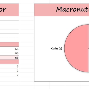 Macrocalculator | Calorie- en macrotracker | Uitsplitsing in cirkeldiagram | Logboek gewichtsverlies | Fitnesstool She Moves Co.