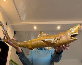 Vintage taxidermy medium sized shark