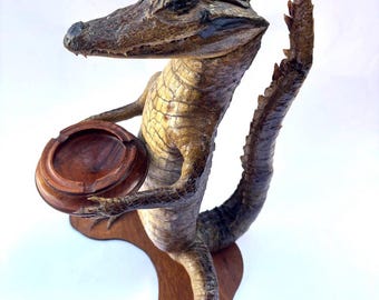 Vintage alligator figurine on a stand - Taxidermy