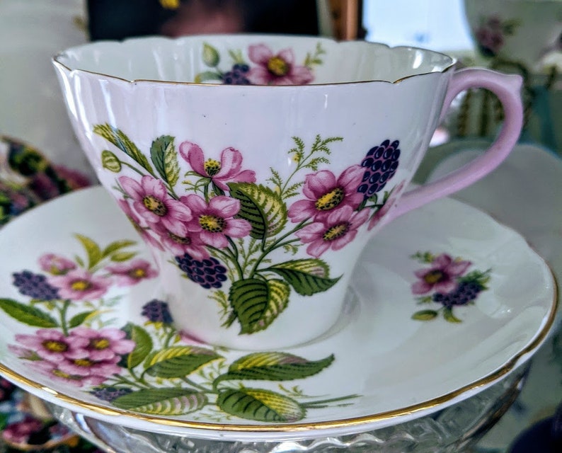 RARE Shelley Fine Bone China bramble Blackberry Etsy