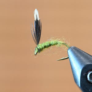 Green Bean - Emerger Dry Fly - 3 Pack