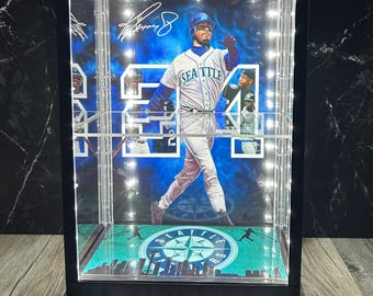 New Custom Double Tier baseball and PSA / Raw Sports Card Display Case with LED Lights-