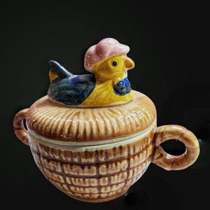 Adorable hen-duck covered sugar bowl-tinket dish.