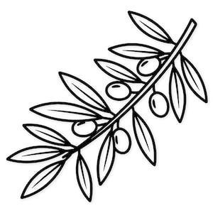 May include: A black and white illustration of an olive branch. The branch features several oval olives and long, pointed leaves. The design is simple and graphic, suitable for various applications.