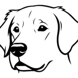 Golden Retriever Head Svg Png: Bold Outline For T-Shirts