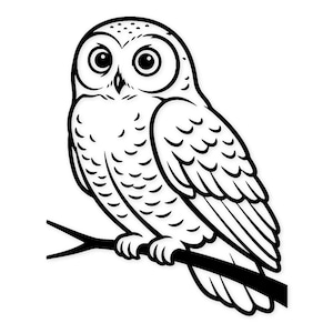 Könnte beinhalten: Schwarz-Weiß-Illustration einer Eule auf einem Ast. Die Eule hat große, runde Augen und detaillierte Federzeichnungen. Das Bild ist ein einfaches, grafisches Design.
