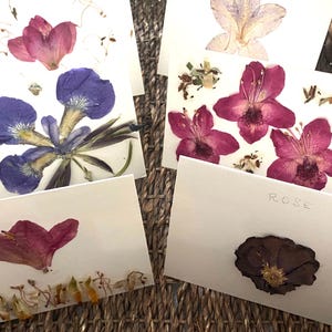 Cartes vierges véritables fleurs pressées Rose rouge, iris violet ou rhododendrons rouges. Unique en son genre. Fait main. Tout naturel.