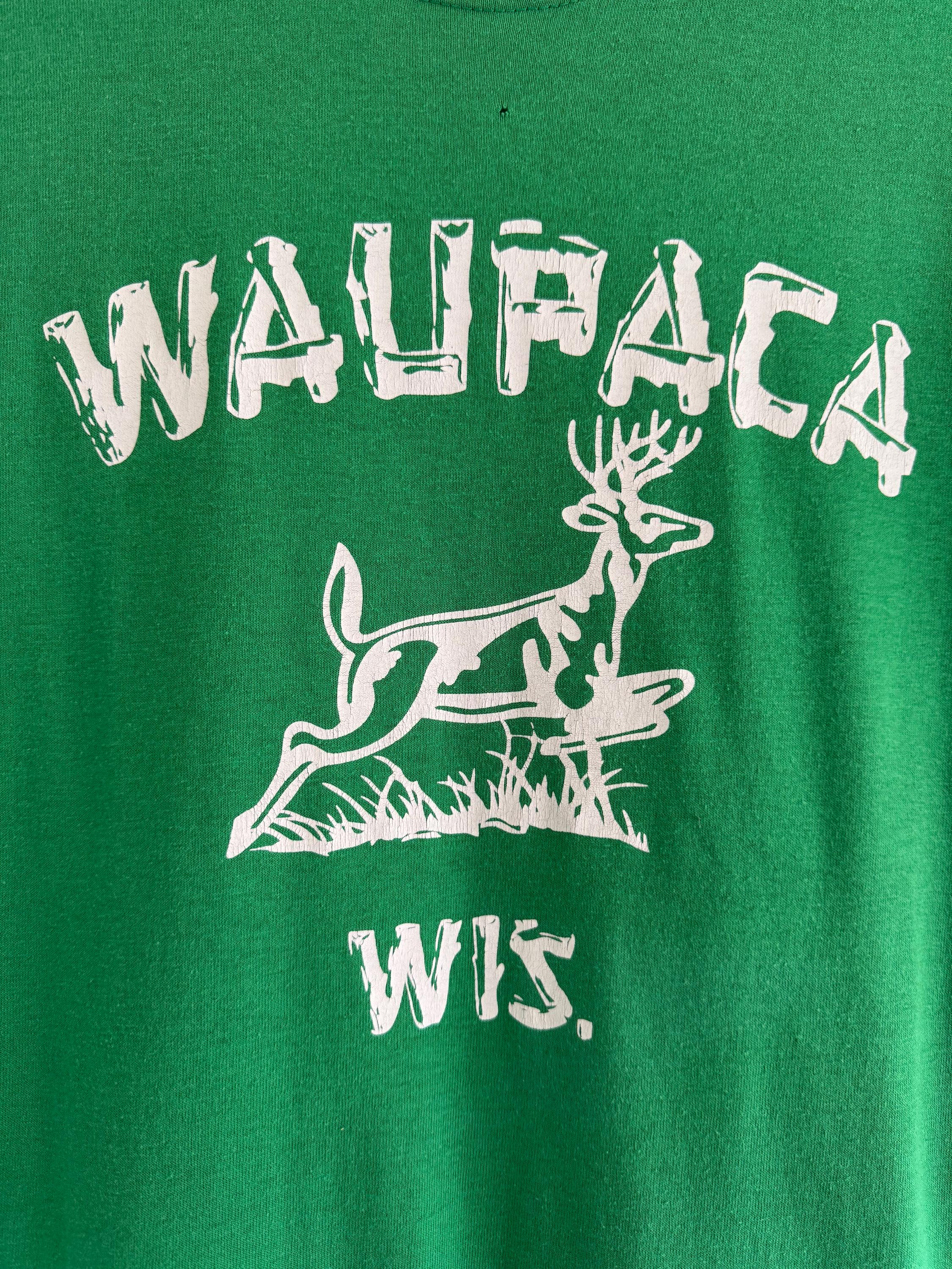 2 seriously hurt in Waupaca plane crash | WHBY, image size:2250x3000