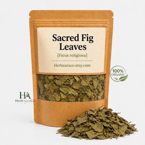 Può includere: Un sacchetto di carta marrone pieno di foglie di fico sacre verdi essiccate, con una finestra trasparente che mostra il contenuto. La borsa ha un'etichetta bianca con il testo "Sacred Fig Leaves" e un sigillo "100% ORGANIC". Un piccolo mucchio di foglie è davanti alla borsa.