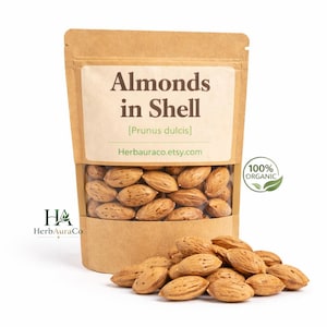 Råa bittermandlar med skal – Prunus Amygdalus Amara, för oljeinfusion