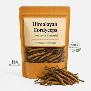 Könnte beinhalten: Ein beigefarbener Standbeutel mit getrockneten Himalaya-Cordyceps, beschriftet mit dem Text Himalayan Cordyceps, Cordyceps Sinensis und Herbauraco.etsy.com, mit einem 100% Organic-Siegel und einem Haufen brauner, wurzelartiger Pilze davor.